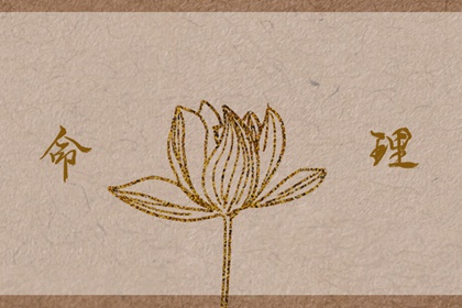 择吉老黄历|择吉老黄历皇历|择吉日查询